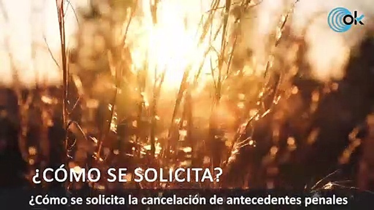 El Gobierno edita un vídeo para explicar a los inmigrantes cómo cancelar sus antecedentes penales