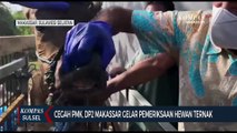 Cegah PMK, DP2 Makassar Gelar Pemeriksaan Hewan Ternak