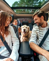 Des automobilistes piégés par une mauvaise blague (1)