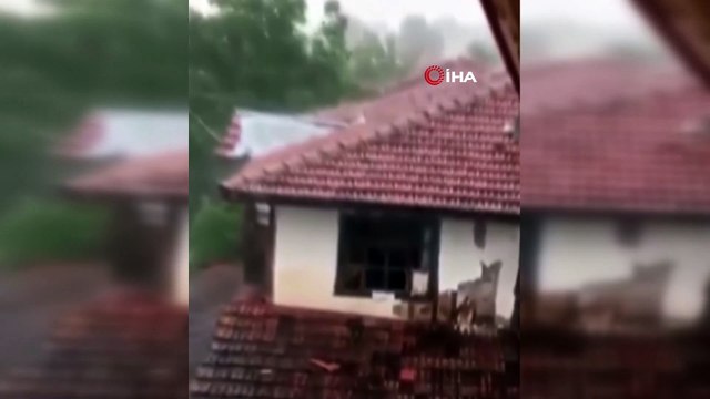 Manzarayı çekerken korku veren o anı da kayda aldı! Saniye saniye kamerada