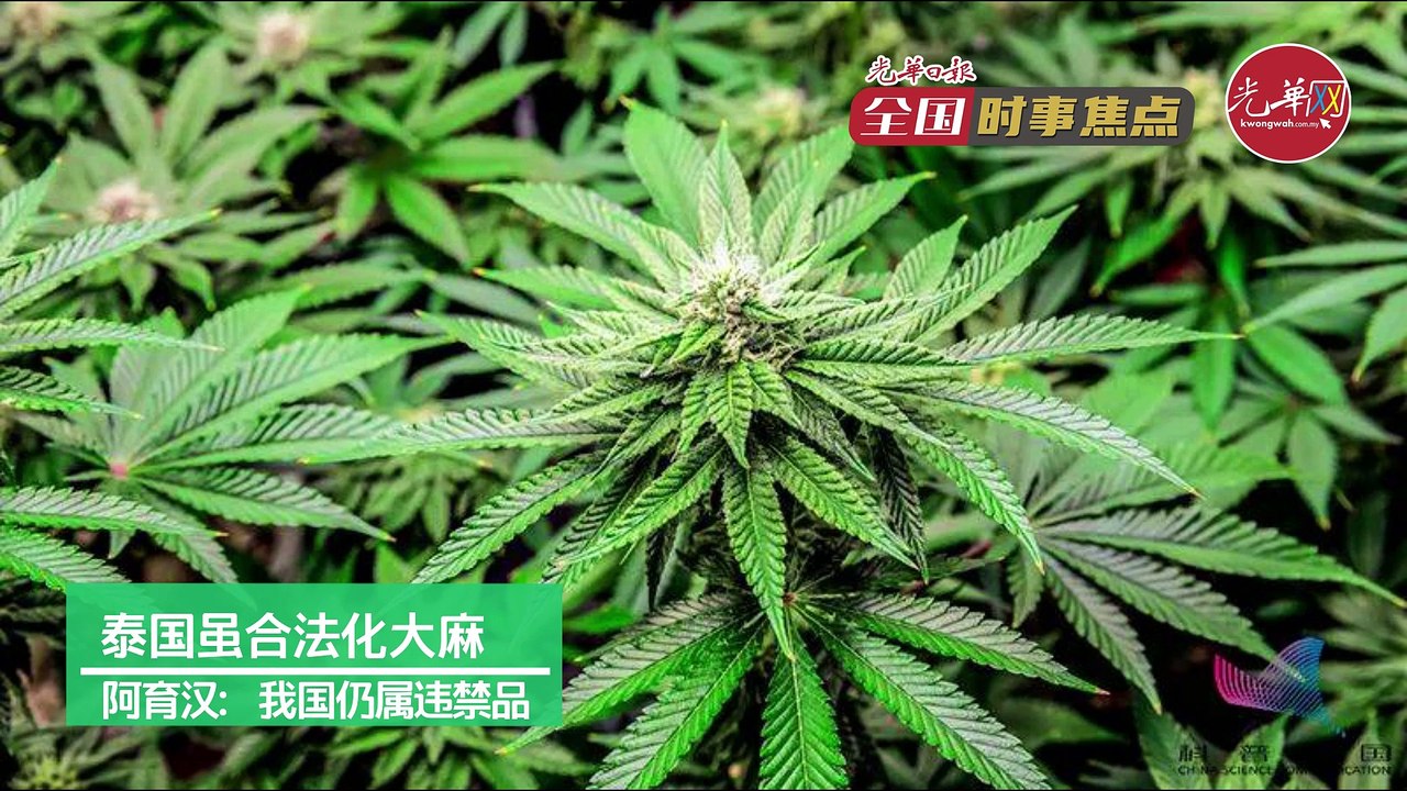 全国时事焦点0613