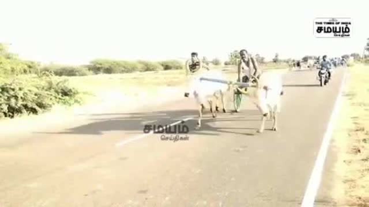 வைகாசி விசாகம்; ஜோராக நடைபெற்ற மாட்டு வண்டி பந்தயம்!