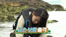 [HOT] Kim Boreum Found Blue Crab, 안싸우면 다행이야 220613