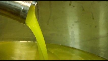 Olio, progetto EcceOlio per formare l'"evologo"
