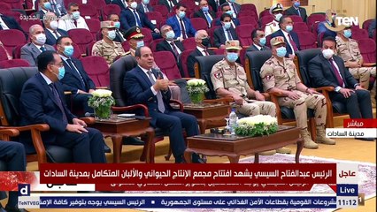 السيسي: الحكومة خدت قرار ما تزودش أسعار الكهرباء و17 مليون مشترك بيدفعوا 50% من أسعار الطاقة