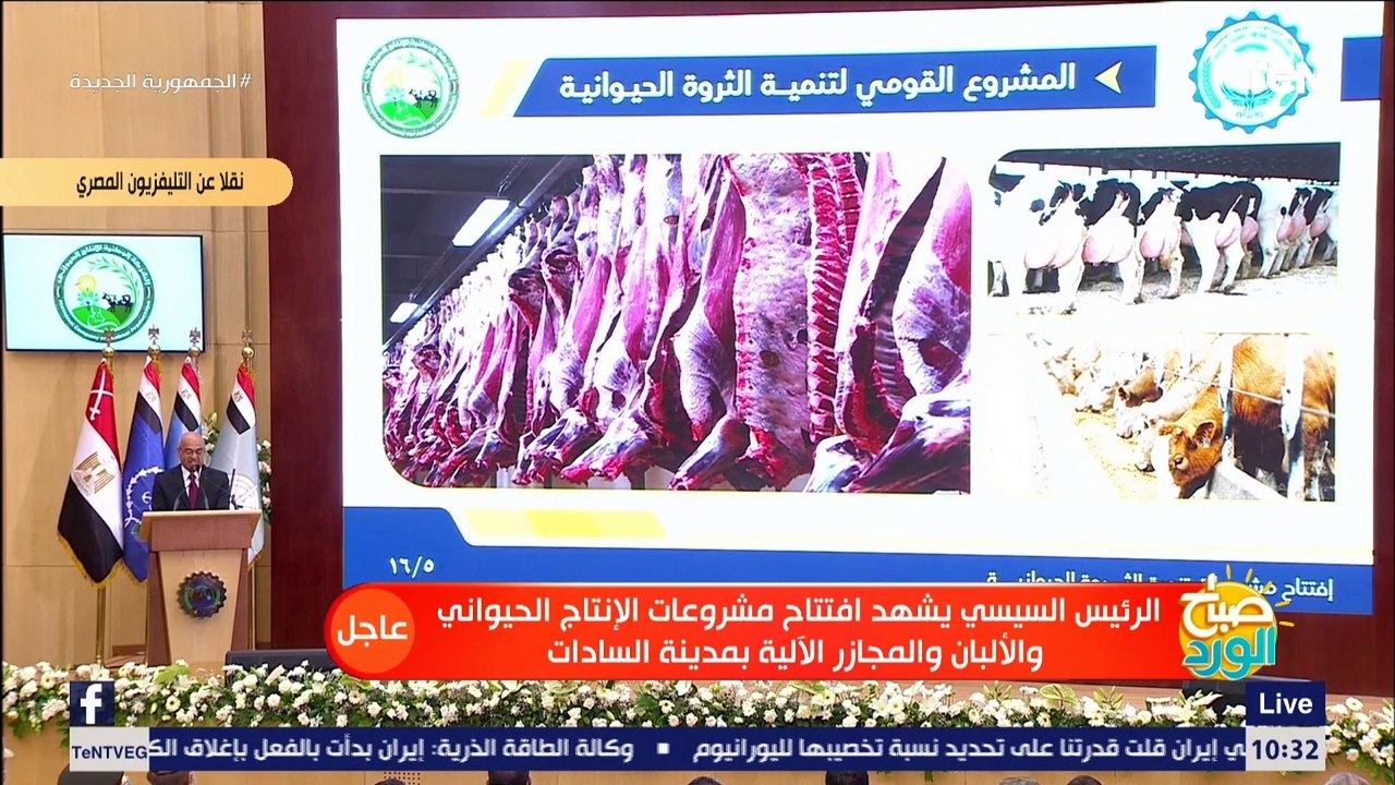 لسد الفجوة الغذائية من البروتين الحيواني.. شاهد ماذا فعلت الشركة الوطنية للإنتاج الحيواني