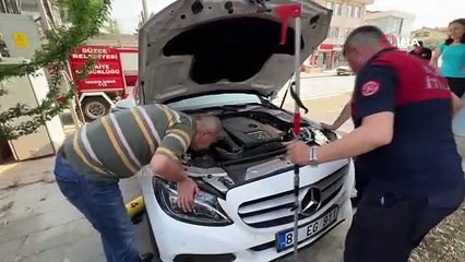 Otomobilde saatlerce aradılar, yaramaz kedi bakın nasıl çıktı