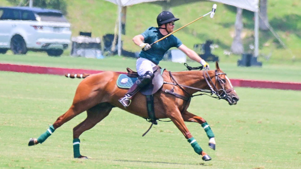 Prinz Harry: Reitunfall bei Polospiel schockiert Publikum!