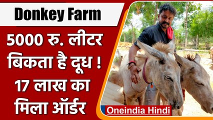 Karnataka Donkey Farming: गधी का 1 लीटर दूध हजारों में, जानिए क्यों | वनइंडिया हिंदी | *Offbeat