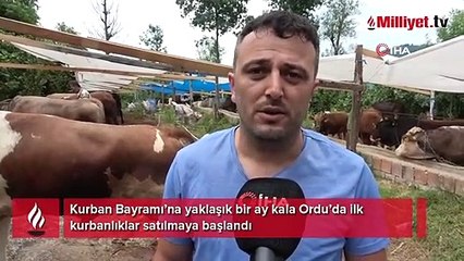 Kurbanlık hayvanlar pazara indi