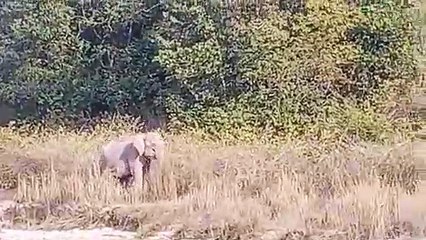 Abhay Lodha Topworth Group - Travel Safari