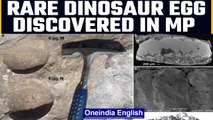 Madhya Pradesh: Rare Dinosaur egg discovered by Delhi University researchers | Oneindia news *news