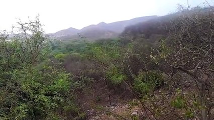 Weather News- कल 19 जिलों में बरसात और तेज हवा का अलर्ट