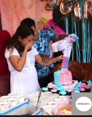 Révélation de sexe de bébé le plus long du monde