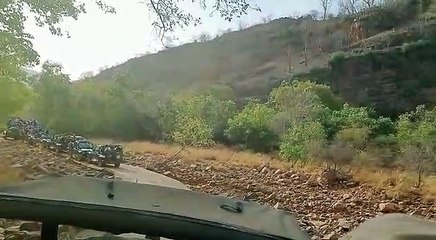 रणथम्भौर: फिल्म शूटिंग के नाम पर बाघ की एक ही जगह पर पौन घंटे तक वीडियो व फोटोग्राफी