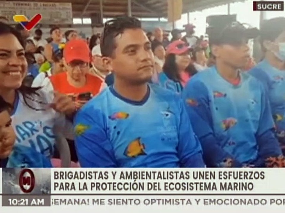 Sucre | Juramentan brigada protectora para controlar el coral invasor unomia stolonifera en Mochima