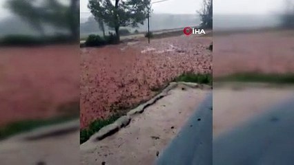 Etkili olan sağanak dereleri taşırdı
