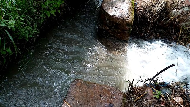 look water haw is funny