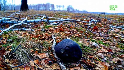 TERRORIFICAS LEYENDAS URBANAS DE RUSIA