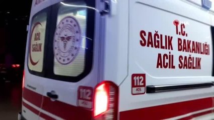 Erik toplamak için çıktığı ağaçtan düşerek yaralandı