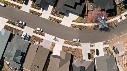 Xeriscaping: Eco-Friendly Native Plant Gardens 🌱