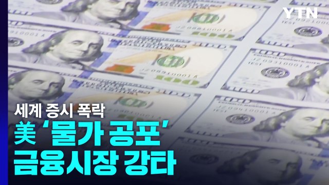 美 '물가 공포' 금융시장 강타...세계 증시 폭락 / YTN