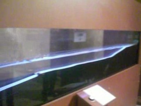 modélisation d'un tsunami