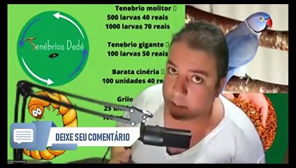 Primeira empresa a conseguir liberação da farinha de inseto ;