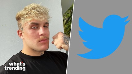 Jake Paul Calls Joe Biden Voters the Problem with America on Twitter