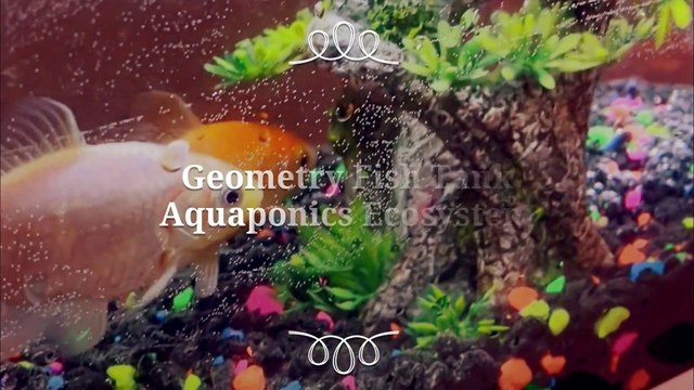 АКВАРИУМ XIAOMI - GEOMETRY FISH TANK AQUAPONICS ECOSYSTEM ELATTAN
