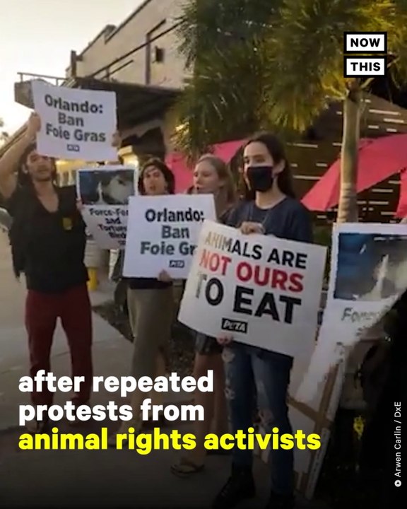 Three Orlando Restaurants Remove Foie Gras From Menu After Protests