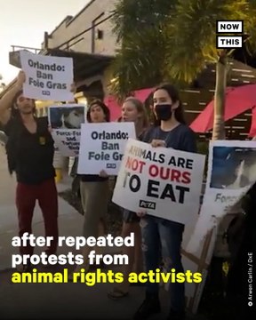 Three Orlando Restaurants Remove Foie Gras From Menu After Protests