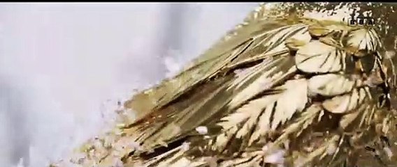 The Hunger Games | 2023 BBA Official Trailer - Vistaso LIONSGATE