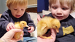 'Boy's first-ever encounter with a baby duck is one to remember '