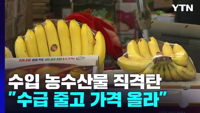 '물류 차질' 수입 농수산물 직격탄... 수급 안 되고 가격 올라 / YTN