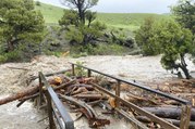 Yellowstone flooding takes out bridge, washes out roads