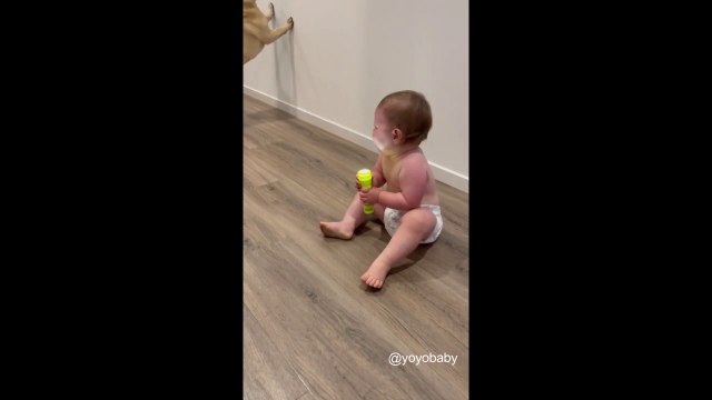 Cute Baby Compilation that Melts Your Heart || yoyo baby