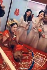 Best Funny Videos - Funny Compilation Happen Unexpectedly