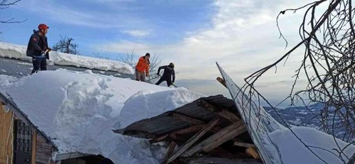 Karın ağırlığına dayanamayan ahırın çatısı çöktü, ekipler hayvanlar için seferber oldu