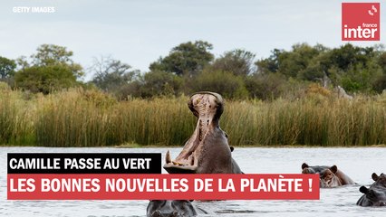 Les bonnes nouvelles de la planète