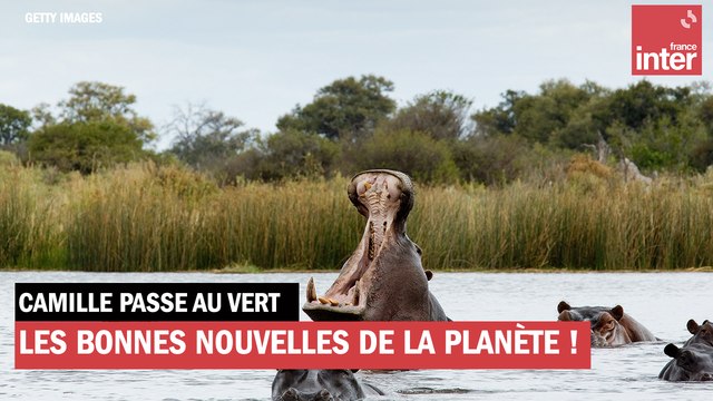 Les bonnes nouvelles de la planète