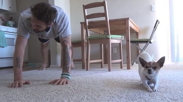 Dieser Mann macht Sport mit seinem Hund. Sie werden Ihren Augen nicht trauen.