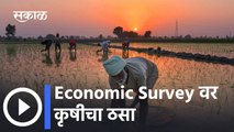 Economic Survey वर कृषीचा ठसा | Economy Survey India |