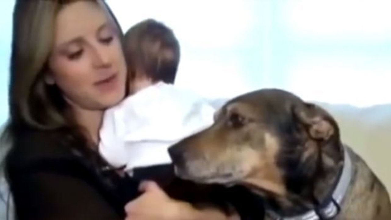 Dieser Hund hat das Leben eines Babys gerettet. Sein Mut wird Sie beeindrucken.