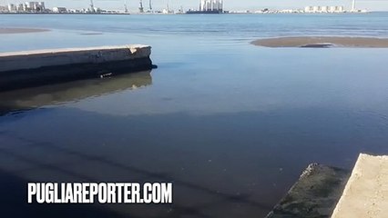Barletta: rispuntano gli "isolotti" per la nuova bassa marea straordinaria  (gennaio 2022)