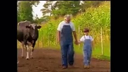 Baby Einstein  Baby MacDonald Full Episode