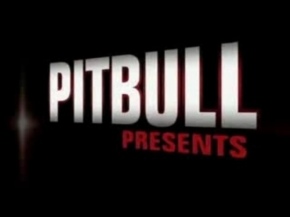 Pitbull Feat Lil Jon - The Anthem