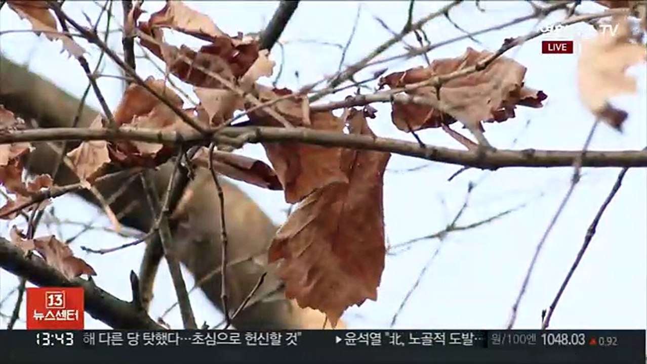 [날씨] 한낮 포근, 전국 10도 안팎…서쪽 공기질 나쁨