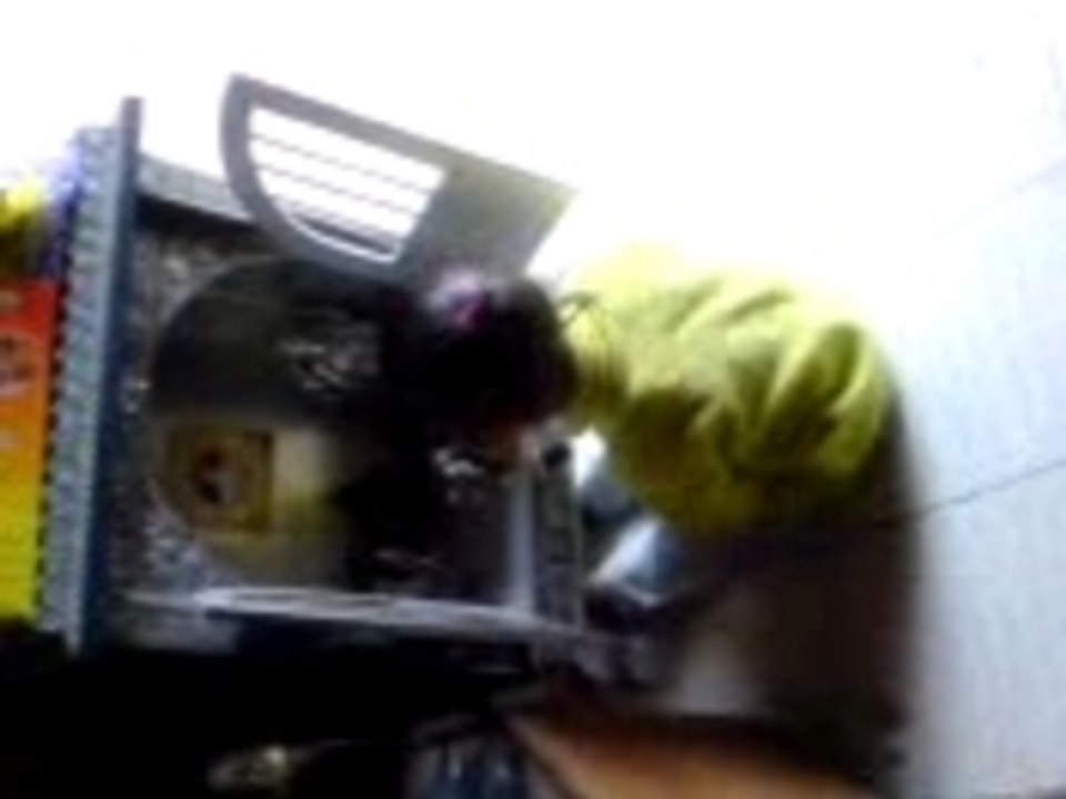 MOV00004