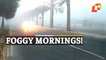 Dense Fog Envelops Northern Odisha As Karanjia Wakes Up To A Foggy Morning
